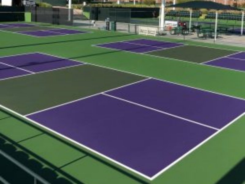 Vibrant pickleball courts with purple and green color scheme Multiple pickleball courts with purple playing surfaces and green borders