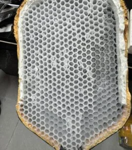 Detailed view of the honeycomb core design of a pickleball paddle