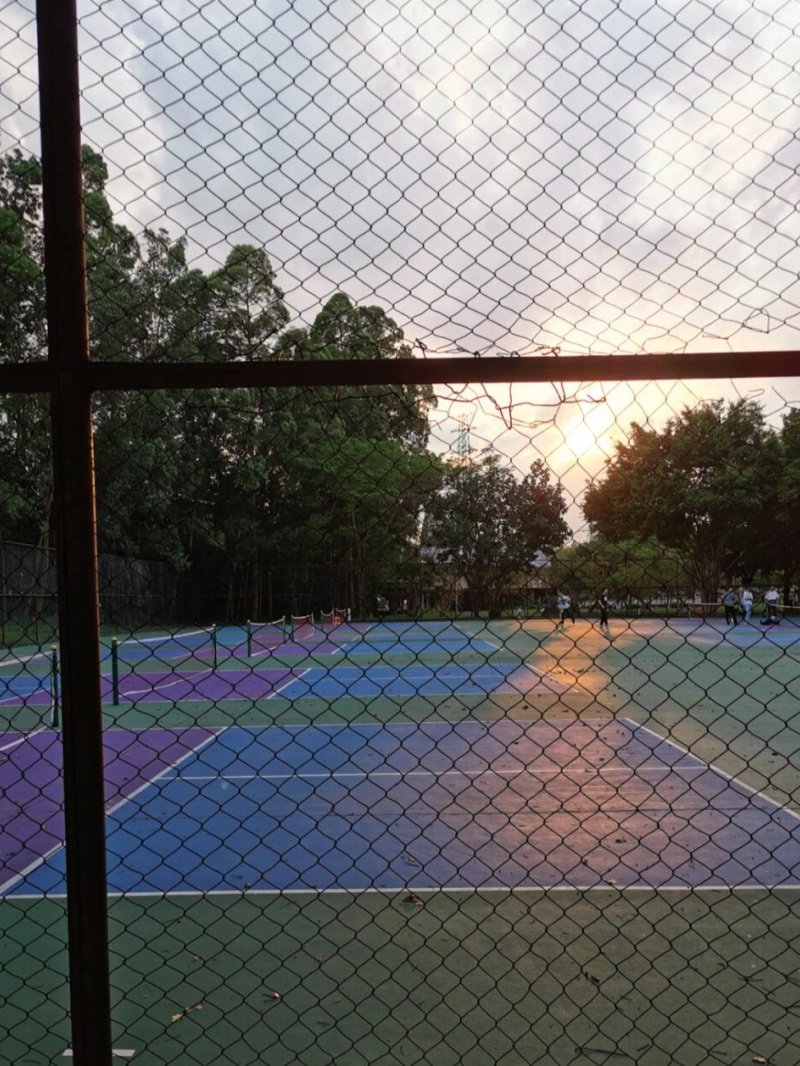 Pickleball courts at dusk Colorful outdoor pickleball courts at sunset behind a chain-link fence