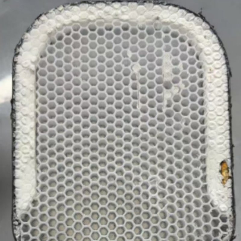 pickleball honeycomb core close-up polypropylene honeycomb core inside pickleball paddle with foam edge reinforcement